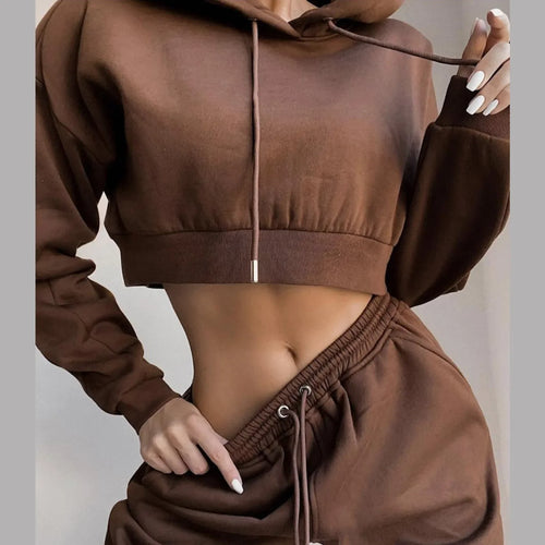 Women 2 Piece Set Casual Sport Outfits Tracksuit Hoodies